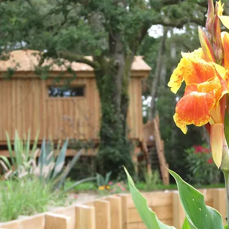 Les Cabanes De L'ocean
